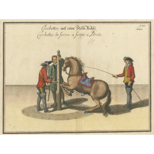 William Cavendish, Courbette Horse Training, 1700s, Engraving For Sale - Image 4 of 12