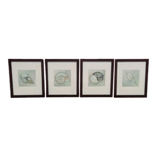 1990s Set of Large Robb and Stucky Coastal Framed Pale Blue Green Seashell Wall Art Prints- Set 4 For Sale