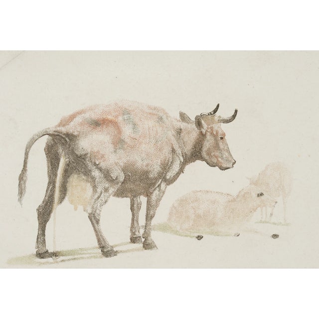 J. Teyler, 17th-Century, Etching For Sale