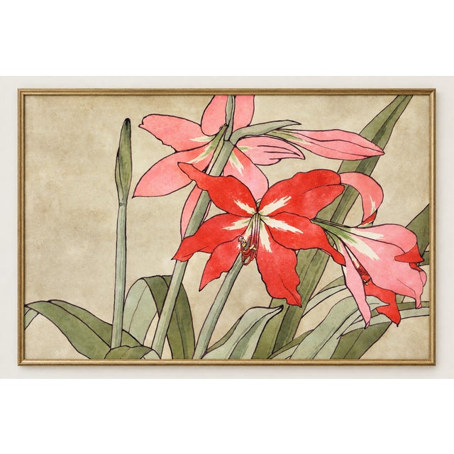 This vintage amaryllis botanical art print by Hannah Borger Overbeck brings bold floral color and Arts and Crafts...