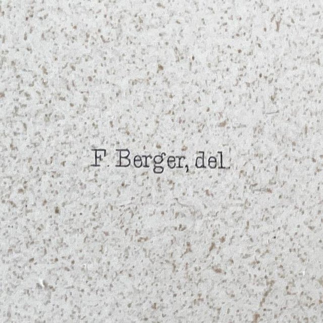 Late 19th Century 1883 Lithograph Reproduction of Dinocerata From the Yale Paleontology Department For Sale - Image 5 of 8