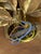 Flower Wall Sconce attributed to Willy Daro for Massive, 1970s For Sale - Image 9 of 14