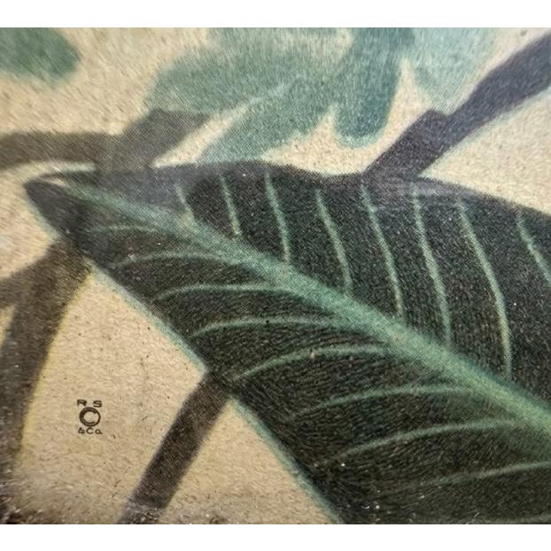 1950s Vintage Mid-Century Flamingo Lithograph in Original Windsor Mode Mirrored Frame by Robert Stein & Co. & Illinois Moulding Co. For Sale - Image 5 of 12