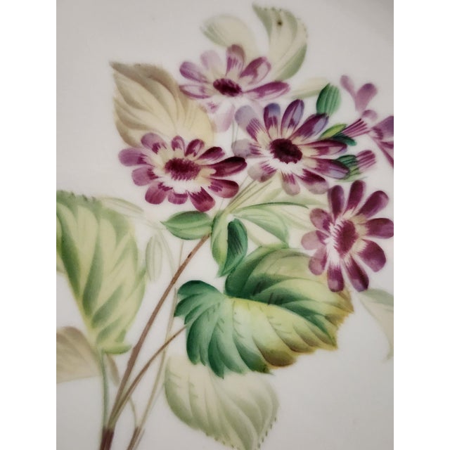 White Antique Worcester Royal Porcelain Works Botanical Dessert Plates Set of 6 For Sale - Image 8 of 12