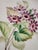 White Antique Worcester Royal Porcelain Works Botanical Dessert Plates Set of 6 For Sale - Image 8 of 12