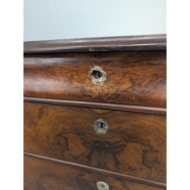 Biedermajer Chest of Drawers, 19th Century For Sale - Image 13 of 14