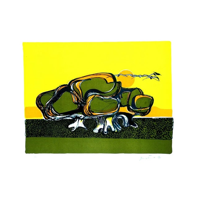Turtle - Original Lithograph by Carlo Quattrucci - 1971 1971 For Sale