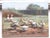 Framed Goose Original Painting Summer Landscape For Sale - Image 13 of 15