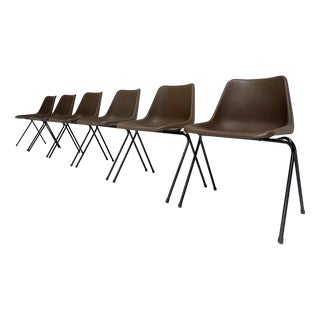 Polyprop Chairs by Robin Day for Hille, 1960s, Set of 6 For Sale