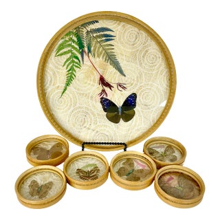 1970s Vintage Boho Chic Lucite & Bamboo Butterfly Coasters and Tray - Set of 7. For Sale