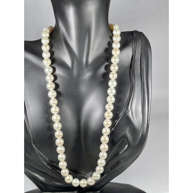 51 Round White Fresh Water Pearls Strand Necklace Set in Silver Clasp For Sale - Image 9 of 18