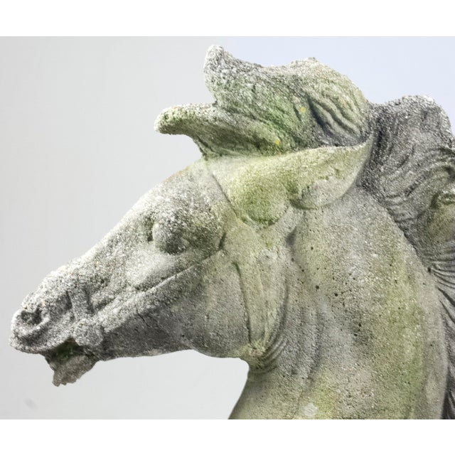 Sculpture Materials 1960s Immense Vintage Cast Cement, Concrete Horse Head Sculpture For Sale - Image 7 of 14