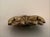 Antique Solid Brass Cupped Hands Jewelry Trinket Dish For Change or Keys 1910 For Sale - Image 4 of 5