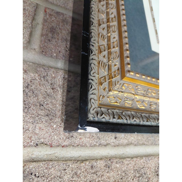 Late 19th Century Late 19th Century Framed Etching by Johann J. Scheuchzer, Titled "Calamus Aromaticus Casiais" For Sale - Image 5 of 9