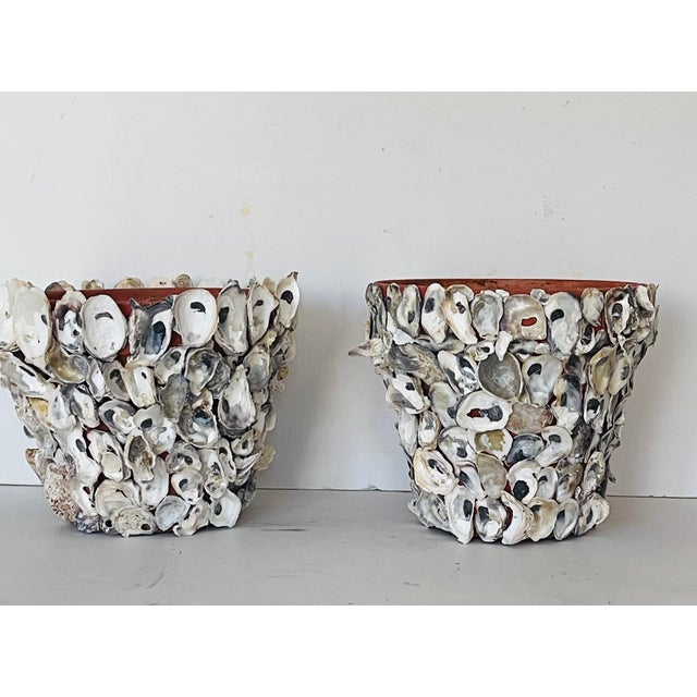 Pair of oyster encrusted terracotta pots/ planters..