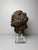 Genovese Artist, Sculpture Depicting the Head of an Angel, 17th Century, Wood For Sale - Image 16 of 18