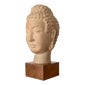 Shop Product Image