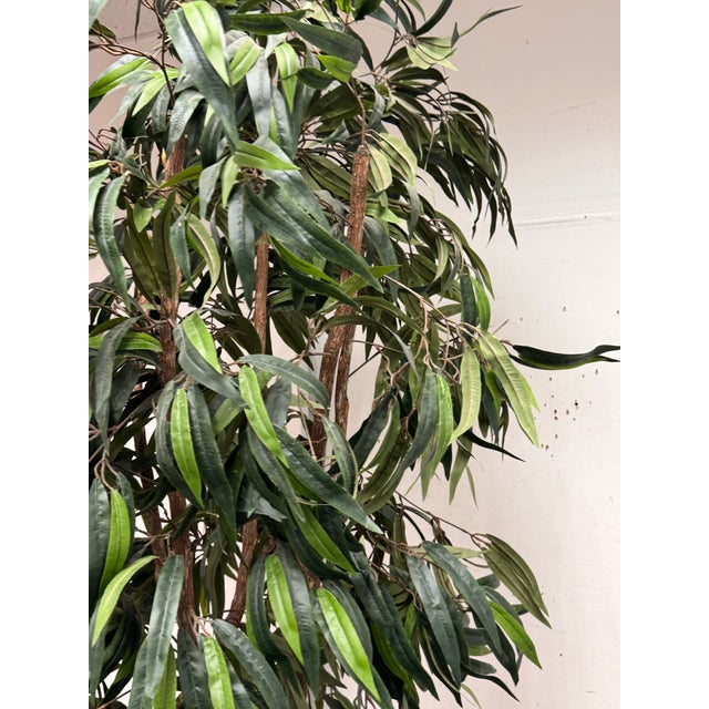 Faux Mango Tree + Tapered Black Planter For Sale - Image 10 of 12