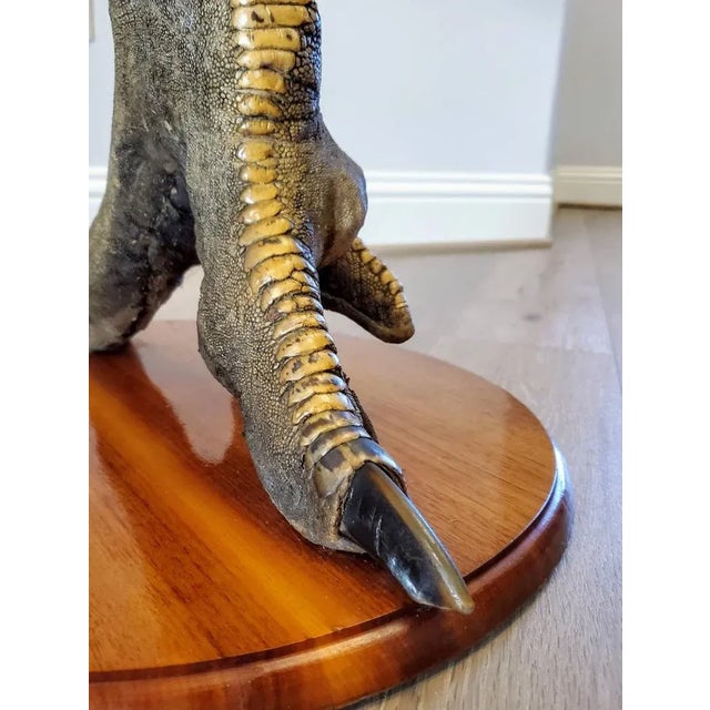 Vintage Ostrich Taxidermy Pedestal Table For Sale In Dallas - Image 6 of 11
