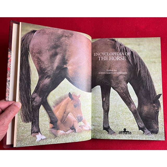 American Fine Red Leather Binding - Encyclopedia of the Horse - Book by Elwyn Hartley Edwards - Single Volume For Sale - Image 3 of 13