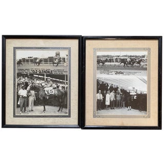 Horse Race Winner Photos For Sale