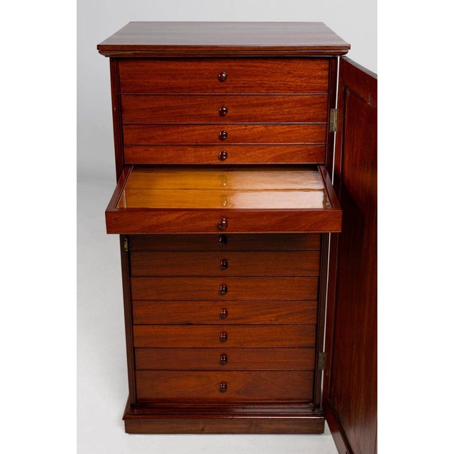 19th Century Collectors Cabinet with 14 Drawers For Sale - Image 9 of 15