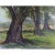 Vintage unsigned Treeline in the Meadow oil painting, circa 1980-90. This vintage painting is attributed to Howard Carr...