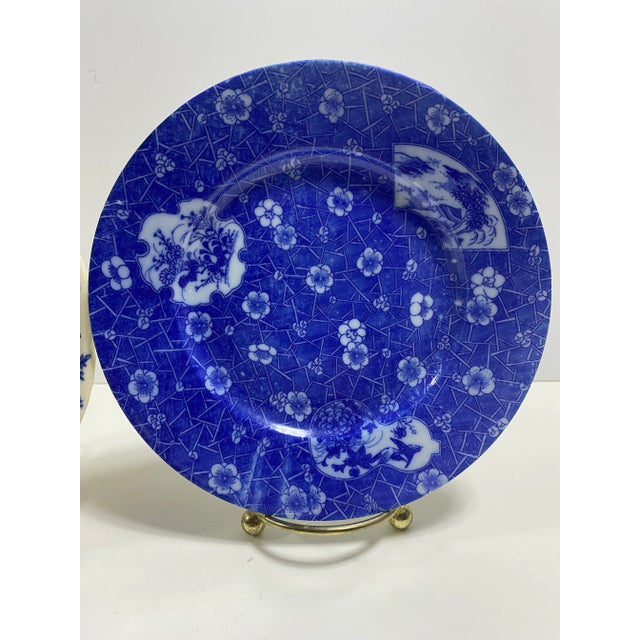 And here's a beautiful plate wall all ready to go. All 6 plates are older. A couple are unmarked. There are some small...