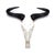 African Wildebeest Horn, Full Skull For Sale - Image 4 of 4