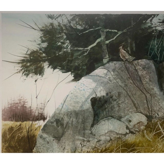Vintage Valfred Thelin 'grouse on a Rock' Maine Landscape' Painting - Listed For Sale In Boston - Image 6 of 11