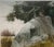 Vintage Valfred Thelin 'grouse on a Rock' Maine Landscape' Painting - Listed For Sale In Boston - Image 6 of 11
