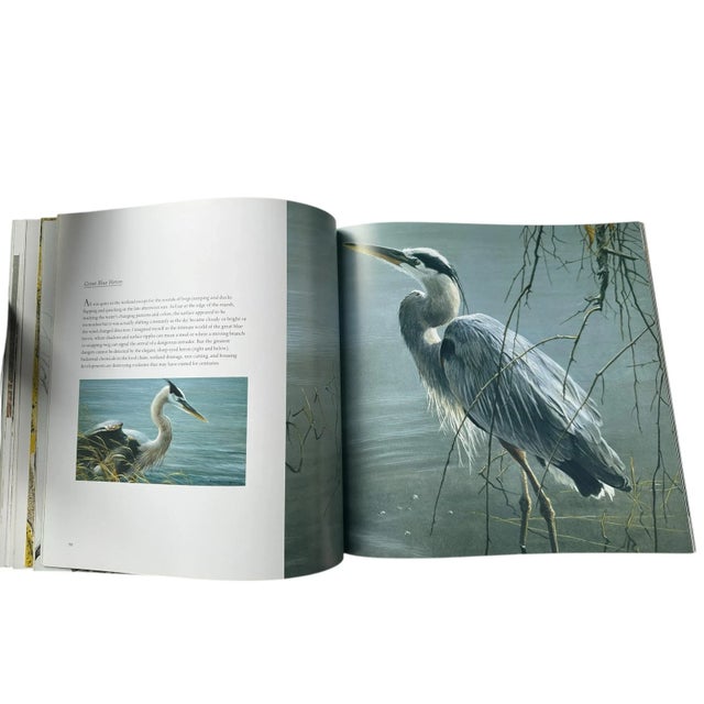 Green Vintage Coffee Table Book on Birds by Robert Bateman For Sale - Image 8 of 8