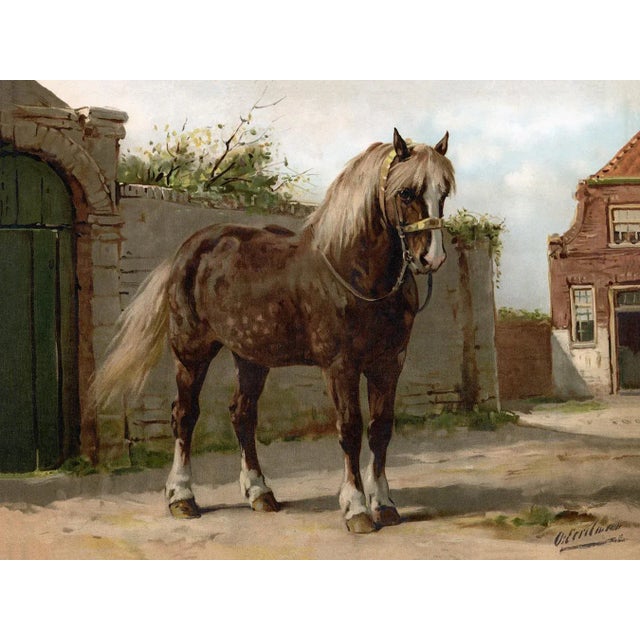 American Fish by Harris CFA Edition Giclee print framed in a beautiful Italian wood veneer with a distressed silver inner...