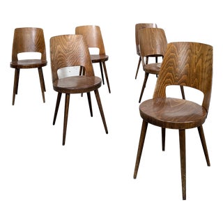 Frosted Brown Chairs from Baumann, 1960s, Set of 6 For Sale