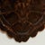 Antique Organic Turtle Shell For Sale - Image 9 of 10