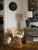 Wood Miss Lo Chair in Stained Rattan by Popus Editions For Sale - Image 7 of 8