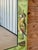 Farmhouse Vintage Green Botanical Decoupage Wall Mirror With Tropical Birds and Butterflies For Sale - Image 3 of 12
