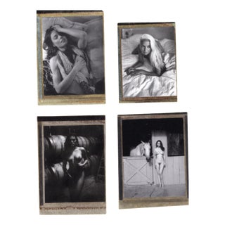Renée Jacobs, Female Nudes, Original Signed Polaroid Countertypes, Set of 4 For Sale