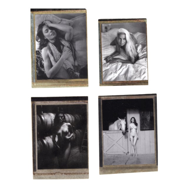 Renée Jacobs, Female Nudes, Original Signed Polaroid Countertypes, Set of 4 For Sale