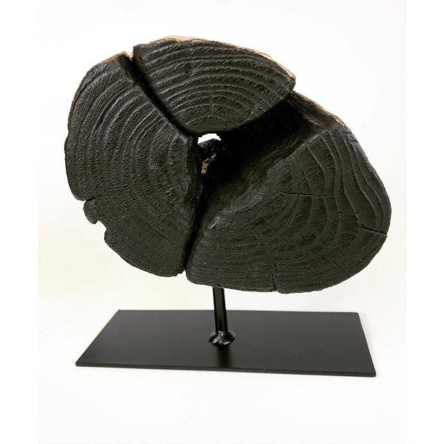 Japanese Lake Erie Driftwood Table Sculpture "Wrapped in Gold" For Sale - Image 3 of 4