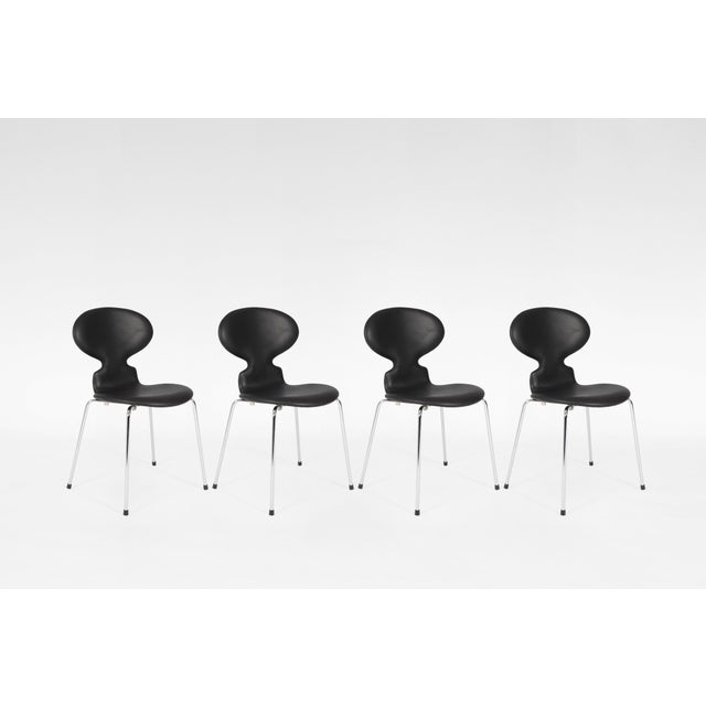 Metal Series Model 3100 Ant Dining Chairs in Black Leather by Arne Jacobsen for Fritz Hansen, Set of 4 For Sale - Image 7 of 7