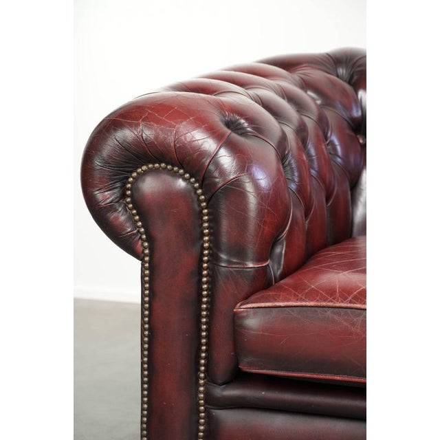 English Chesterfield Club Armchair For Sale - Image 10 of 14