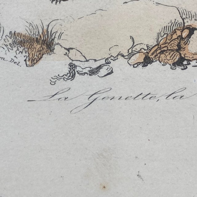 French Antique 18th Century "La Genette" Animal Engraving Hand Colored Signed Artwork For Sale - Image 4 of 12