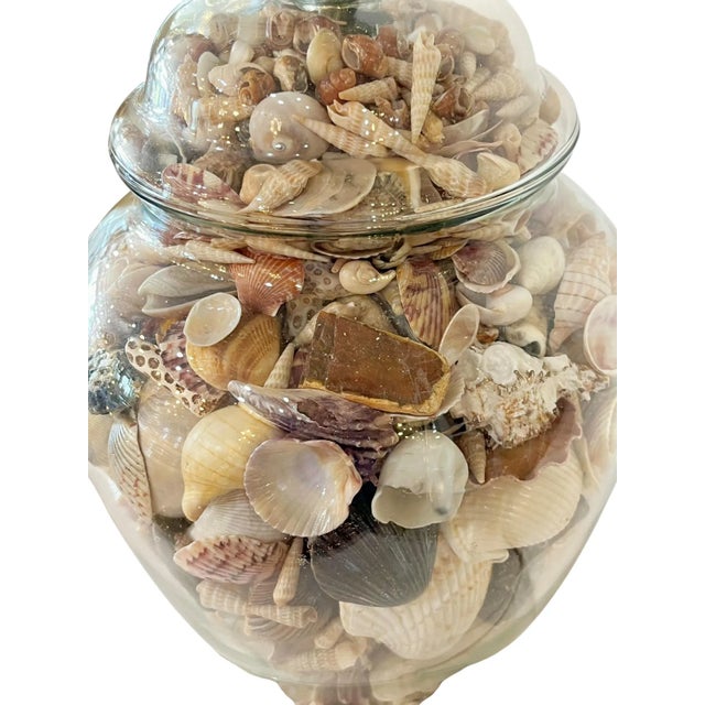 Vintage Glass Ginger Jar Shell Filled Lamp For Sale - Image 15 of 18