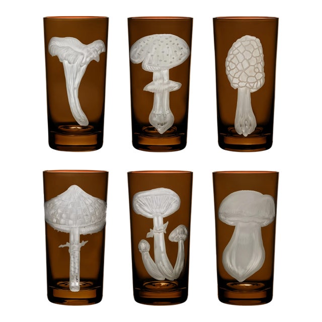 ARTEL Mushrooms Collection Highball in Walnut - Set of 6 For Sale