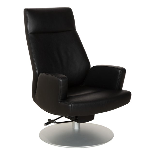 DS-256 Leather Chair from De Sede For Sale