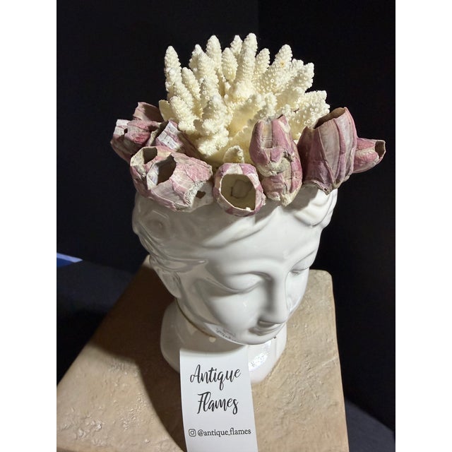 2020s Celestial Meets the Sea-Shell Incrusted Head-Coastal Art Sculpture For Sale - Image 5 of 13