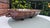 Pre-war ceramic mold for challah or bread, dimensions: height 10 cm, width 43cm, depth 16,5 cm.