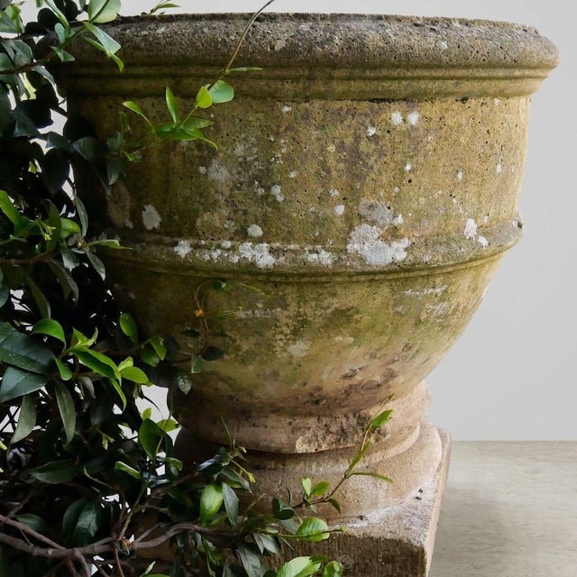Large Limestone Garden Basin, 1890s For Sale - Image 6 of 7