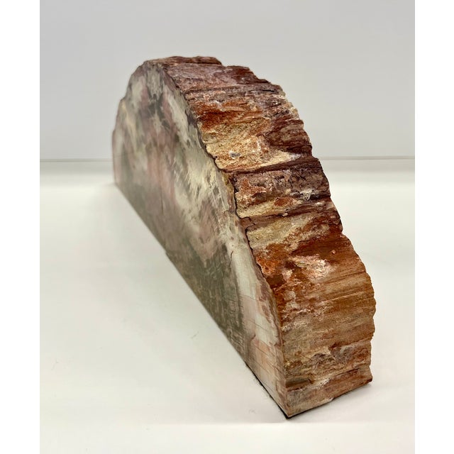 Pair of Petrified Wood Bookends – Large Bookmatched Fossil Wood Slabs – Organic Modern / MCM Shelf Decor Bring millions of...